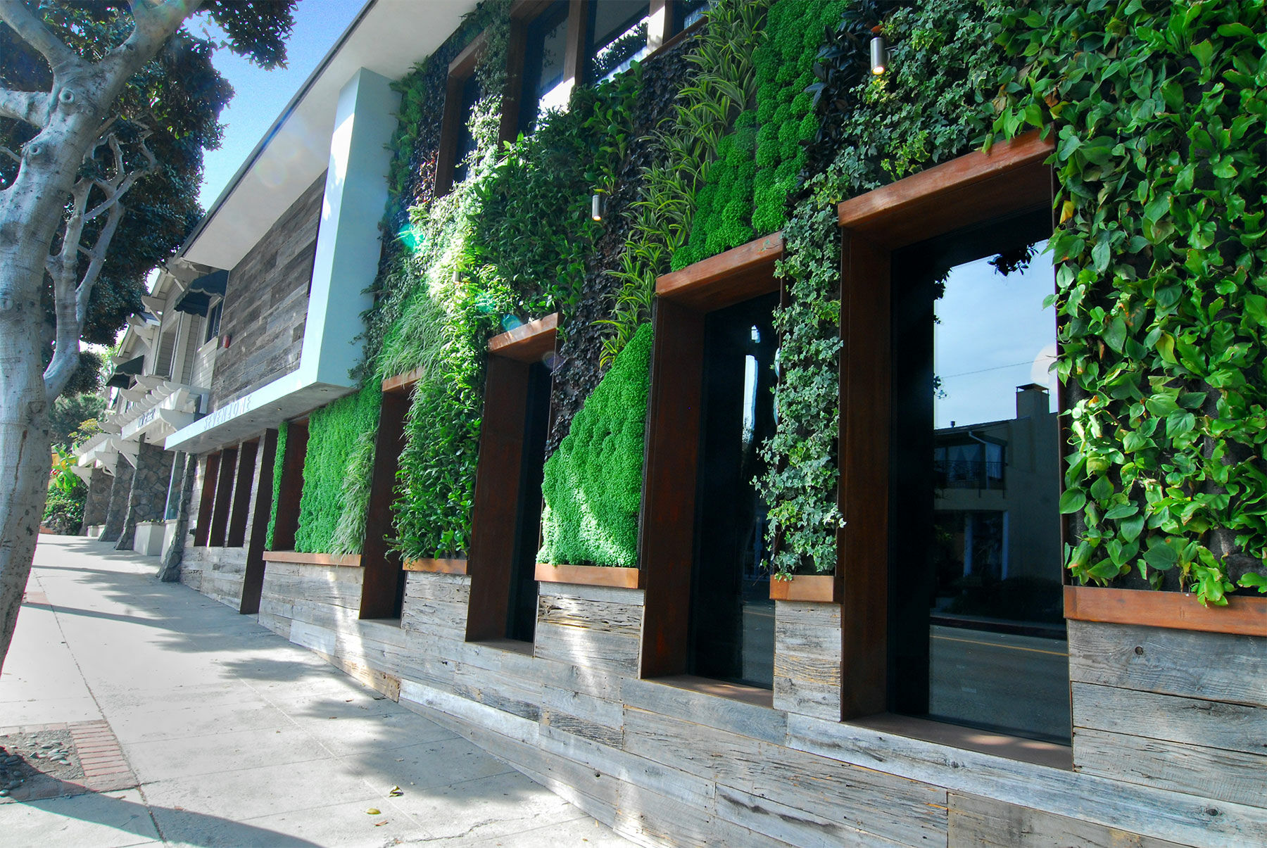 Scp Seven4One Hotel Laguna Beach Extérieur photo
